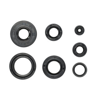 Yamaha FS1 Keerringset A-kwaliteit FS1-DX