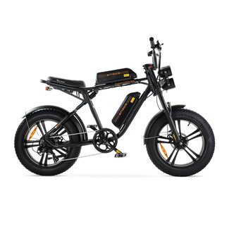 ENGWE ENGWE M20 - Fatbike - Dubbele Accu - Zwart