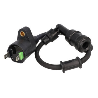 Piaggio Bobine Piaggio origineel compleet voor Liberty iGet, Primavera, Sprint en Zip 4T