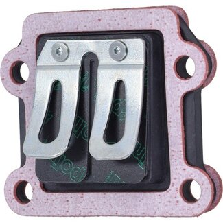 membraan polini yamaha bws, mbk booster, neo's 2t, sr50 2t 213.1003