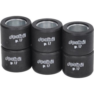 Kymco variorolset polini 17.0gr 23x18mm sh300, xciting 250, x-max 250cc, x-max 300, agility 300cc 242.300