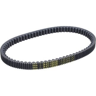 v-snaar malossi 825x22.2 euro 4/5 dragster 300, gts 300 HPE, mp3-300cc 6120066