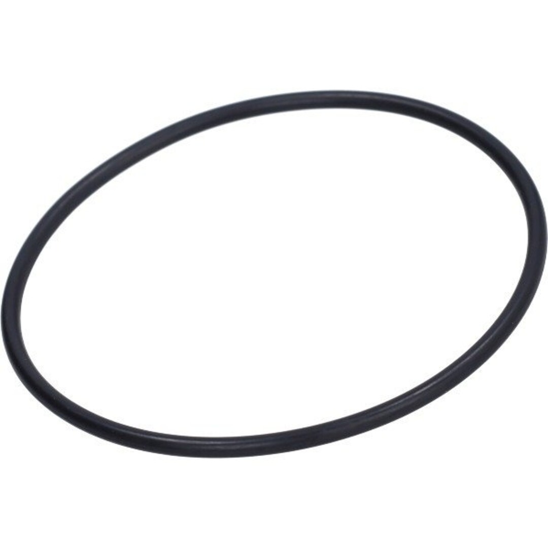 v-snaar polini waterpomp 103, bravo, camino, ciao, citta, px, si 255.4362