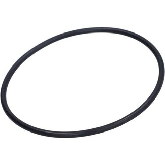 v-snaar polini waterpomp 103, bravo, camino, ciao, citta, px, si 255.4362