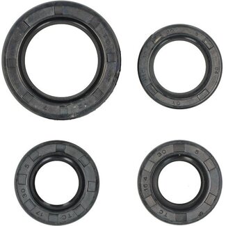 keerringset motorblok (voor gy6) 4-delig sco china 4t, sco gy6, sco kymco 4t, sco sym 4t