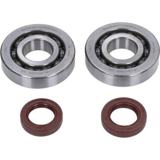 lager+keerringset polini krukas race 50cc sco piaggio 2t 282.0201