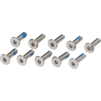 bout remschijf m6x20mm 10pcs beverly, fly, liberty, gts 125 - 300 2014-2022