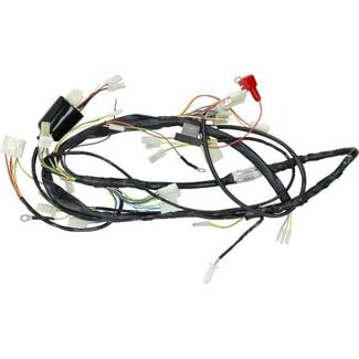 kabelboom Piaggio origineel euro-2 derbi senda R, senda sm, senda x-race, senda x-treme 00h01046301