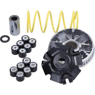 variokit malossi 125cc past op agility 125, people 5114404