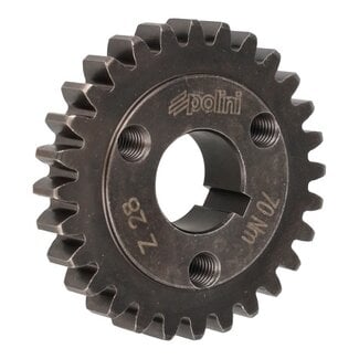 tandwiel polini primair 28 tands pk50, vespa 125cc, vespa 50 202.1419