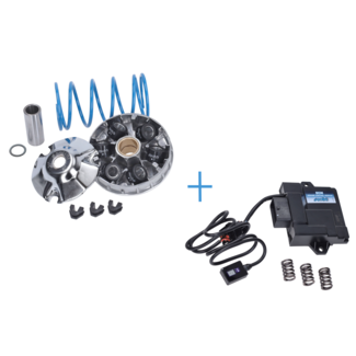 variokit polini + ecu Euro-5 Evo Sport sco piaggio 4t-3v I-get, zip 4t 3v, sprint 4t-3v, primavera 4t-3v, liberty IGET