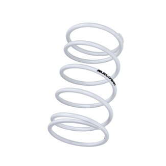 Piaggio koppelingdrukveer malossi 58x142mm wit past op liberty 125cc, sprint 125 4t 2916466.w0
