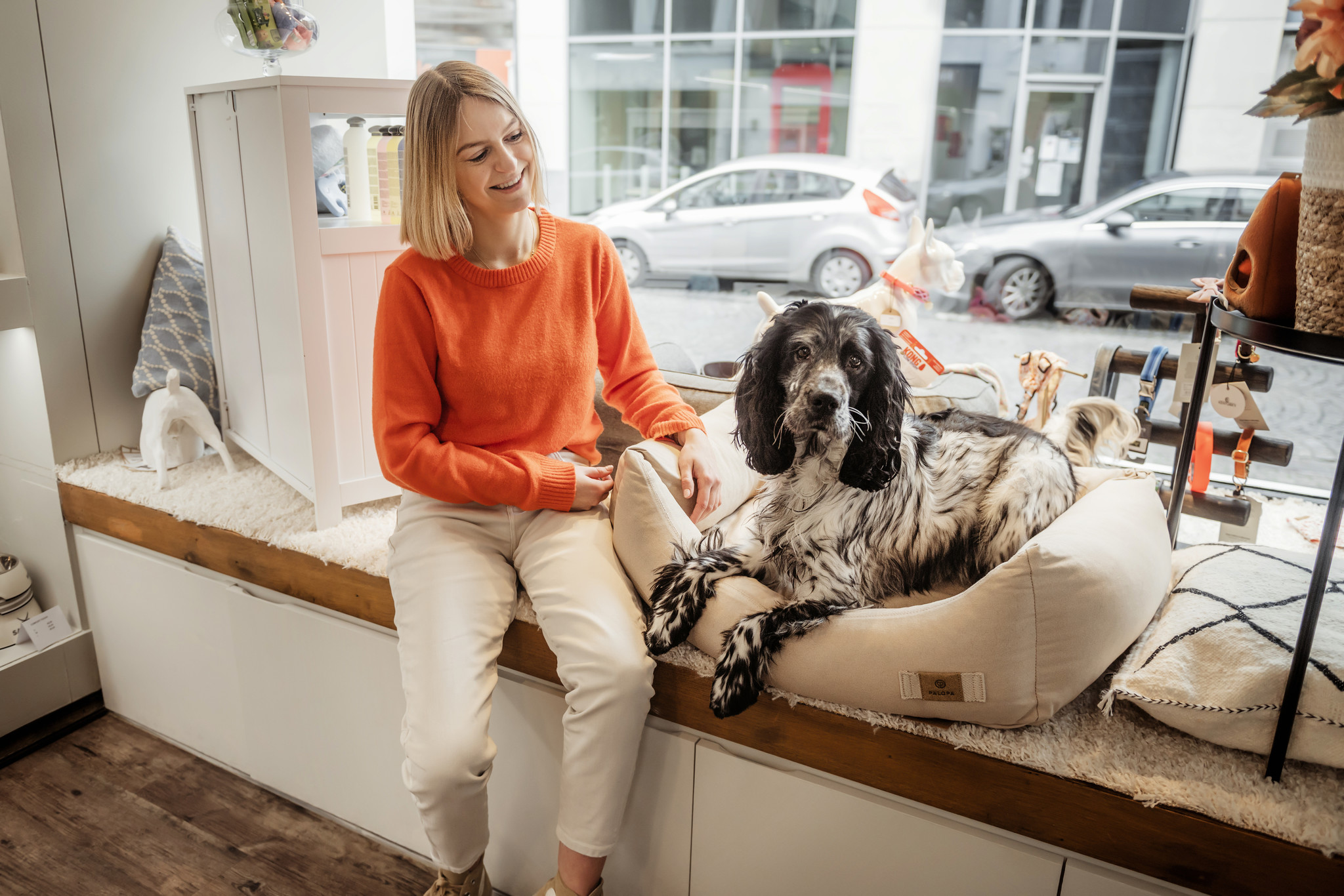 verlegen Serena smog Hondenwinkel Oudenaarde & Hondenwebshop | Hondenboetiek| Over ons -  Hondenboetiek
