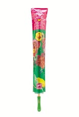Djeco Speelgoed L'envol des pivoines (paraplu) (vanaf 3 jaar)