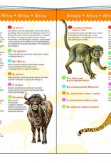 Djeco Speelgoed Dinosauriërs (vanaf 5 jaar)