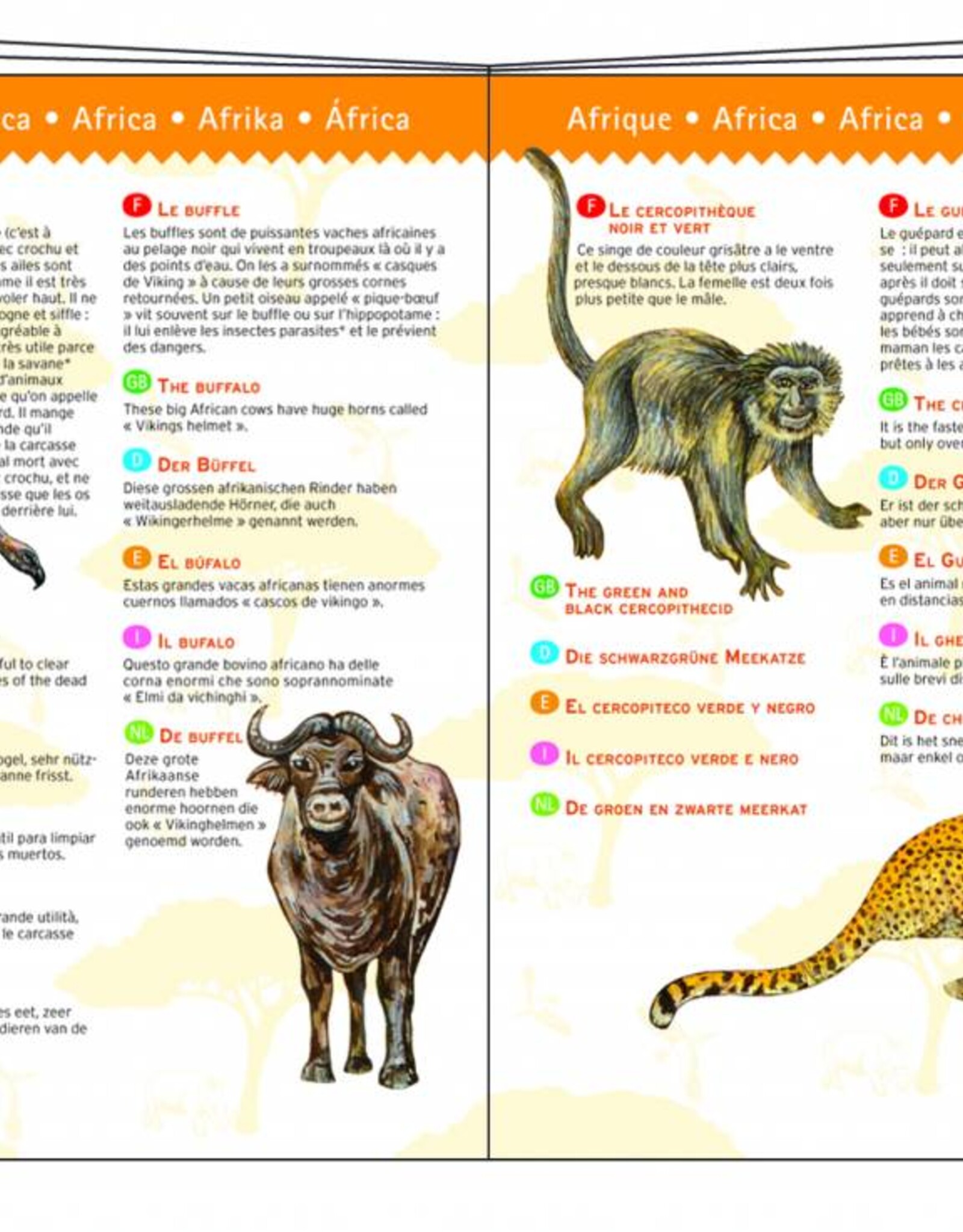 Djeco Speelgoed Dinosauriërs (vanaf 5 jaar)