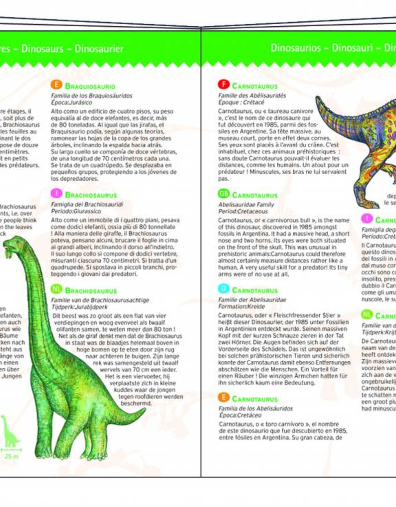 Djeco Speelgoed Dinosauriërs (vanaf 5 jaar)