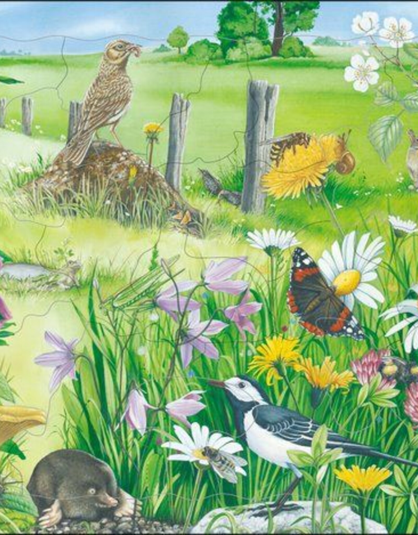 Larsen Puzzel Natuur (vanaf 3 jaar)