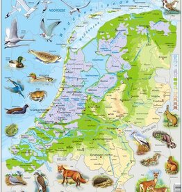 Larsen Puzzel Nederland natuurkundig