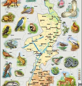Larsen Puzzel Limburg natuurkundig