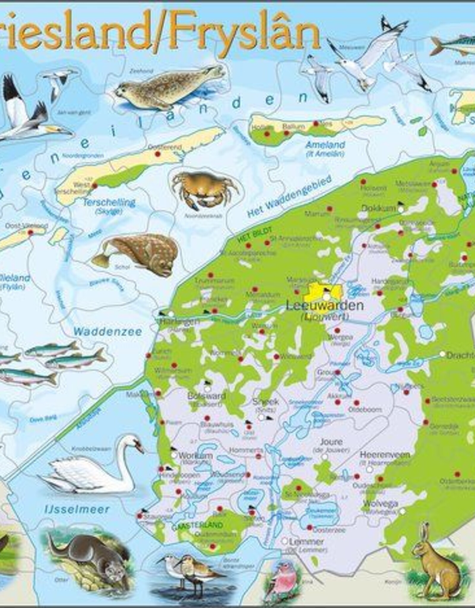 Larsen Puzzel Friesland natuurkundig (vanaf 8 jaar)