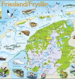 Larsen Puzzel Friesland natuurkundig