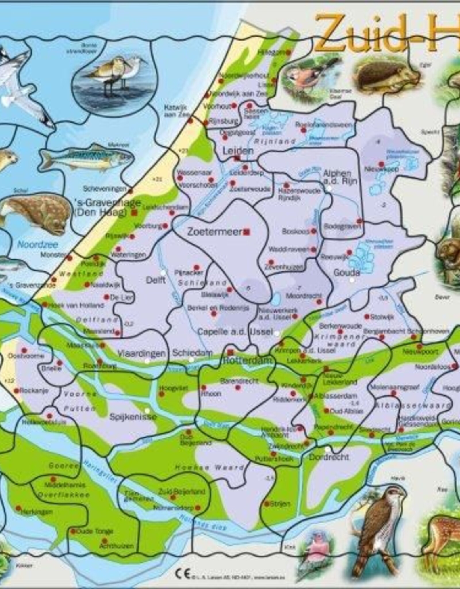 Larsen Puzzel Zuid Holland Natuurkundig