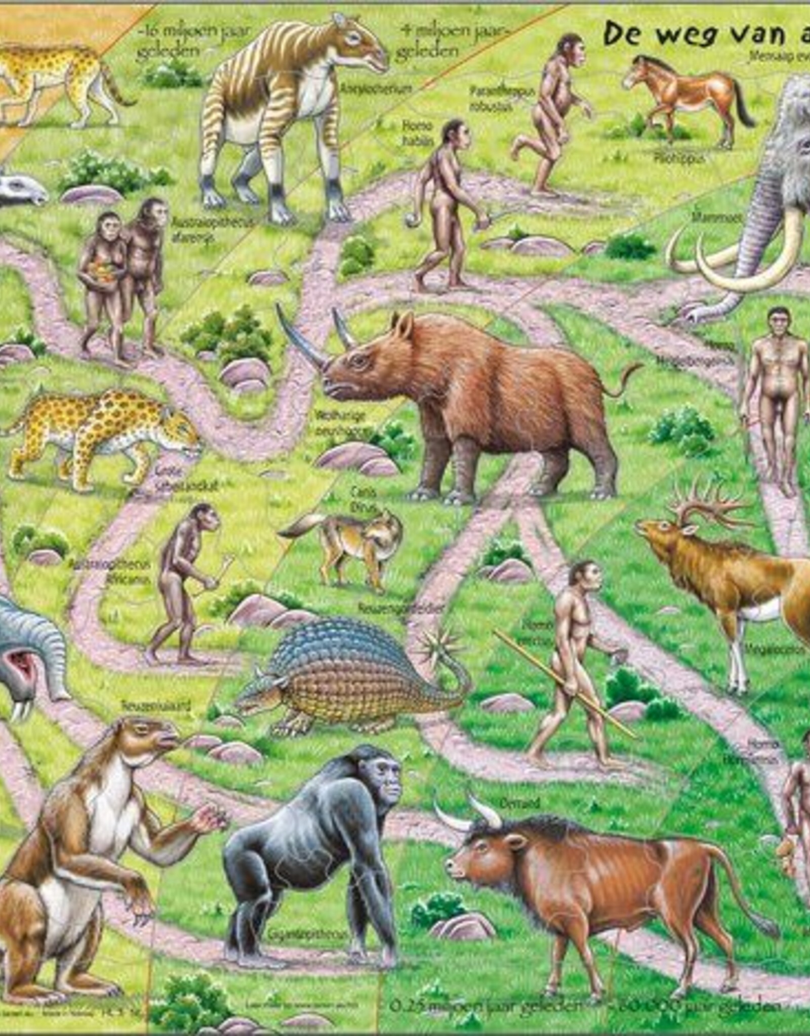 Larsen Puzzel De weg van aap naar mens (vanaf 7 jaar)