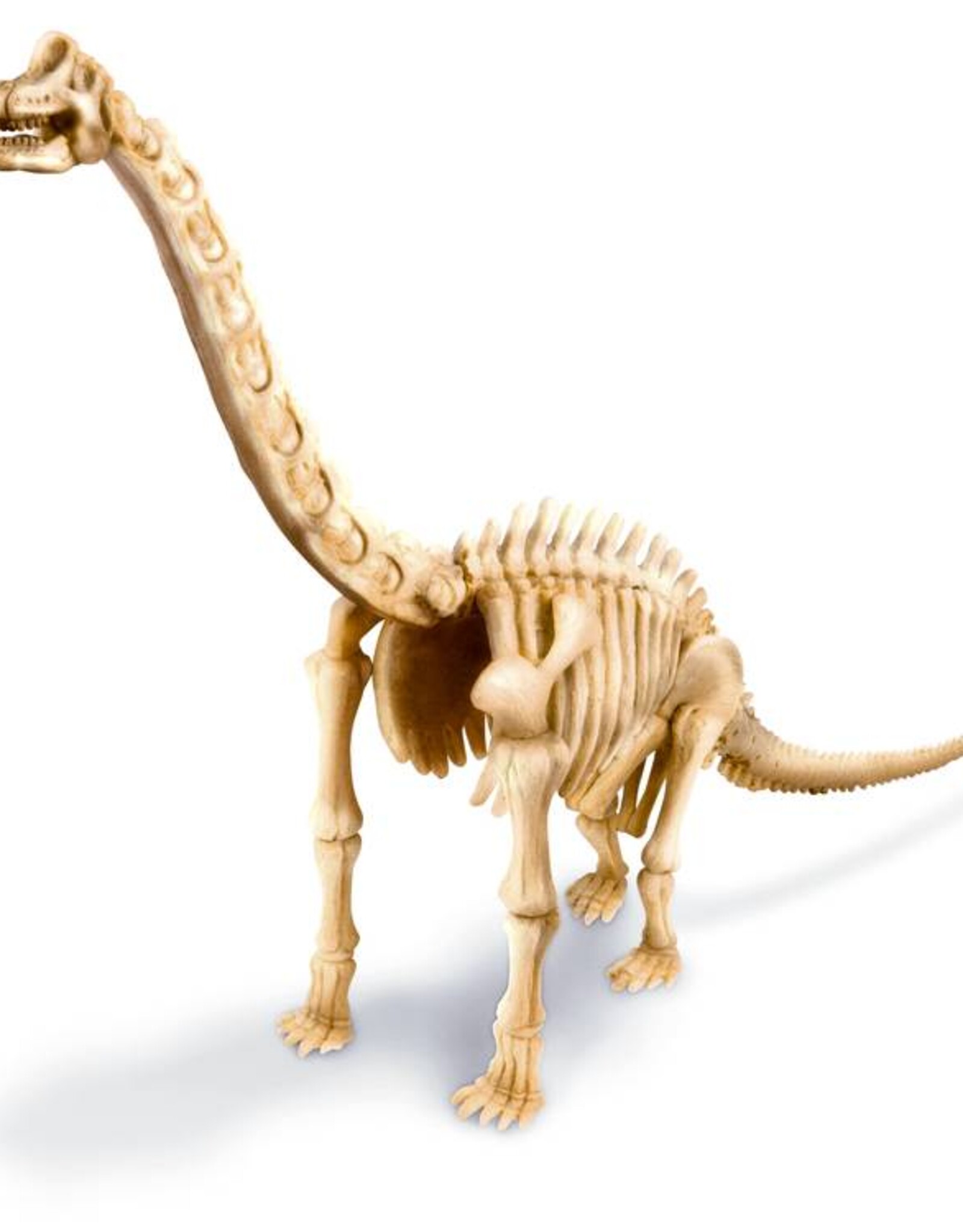 4M Speelgoed Brachiosaurus (vanaf 7 jaar en ouder)