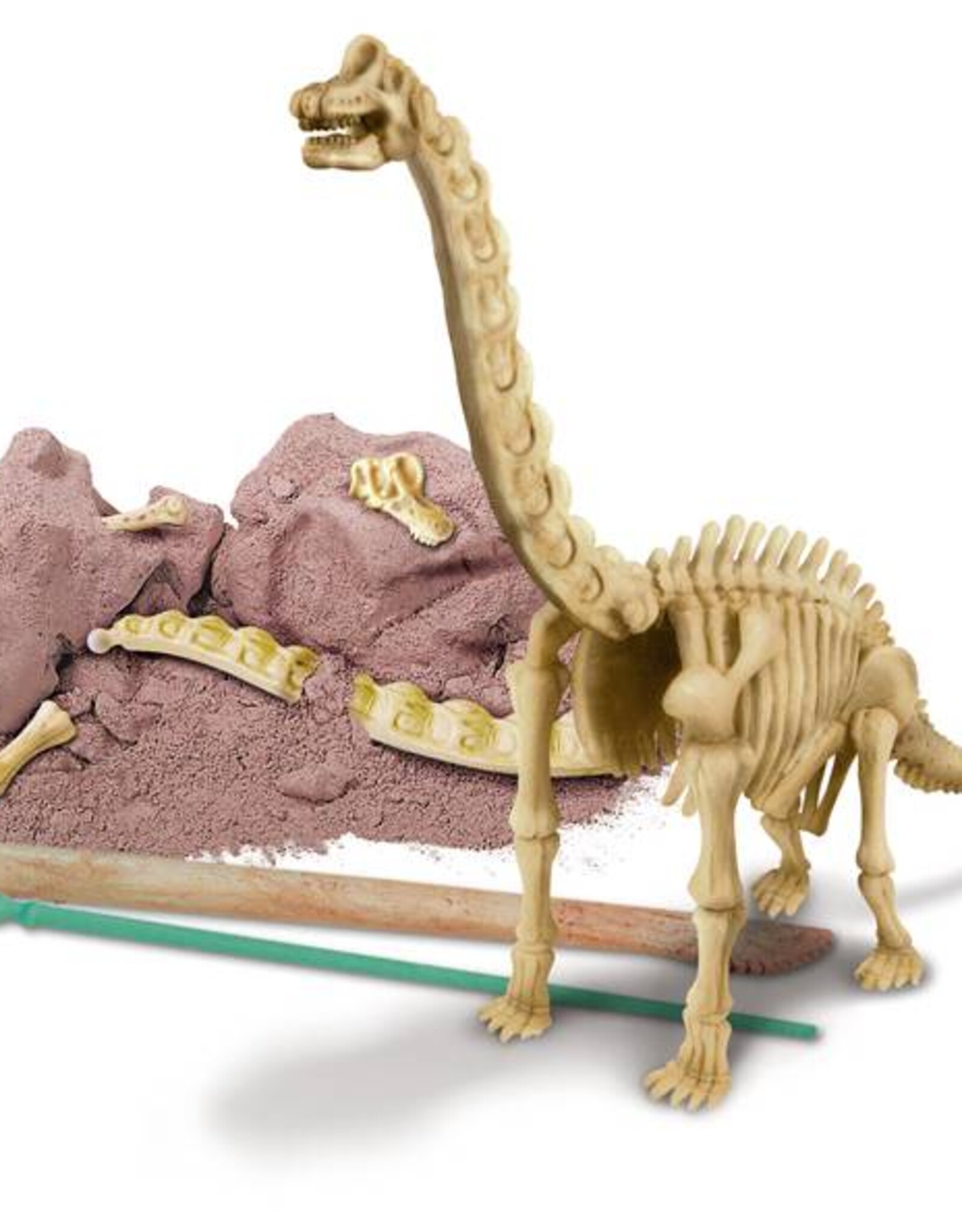 4M Speelgoed Brachiosaurus (vanaf 7 jaar en ouder)