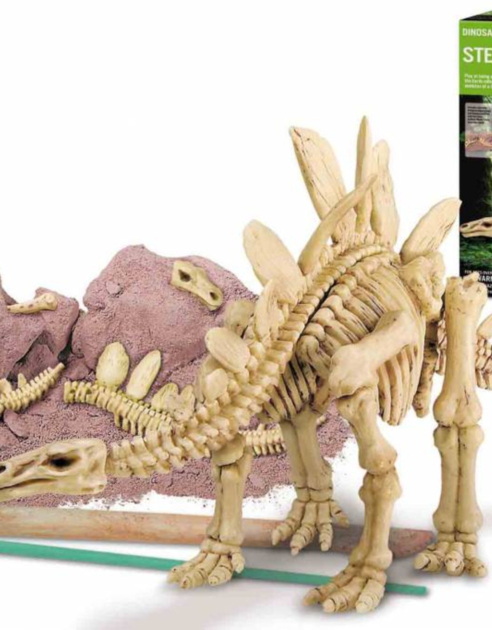 4M Speelgoed Stegosaurus (>7 jr)