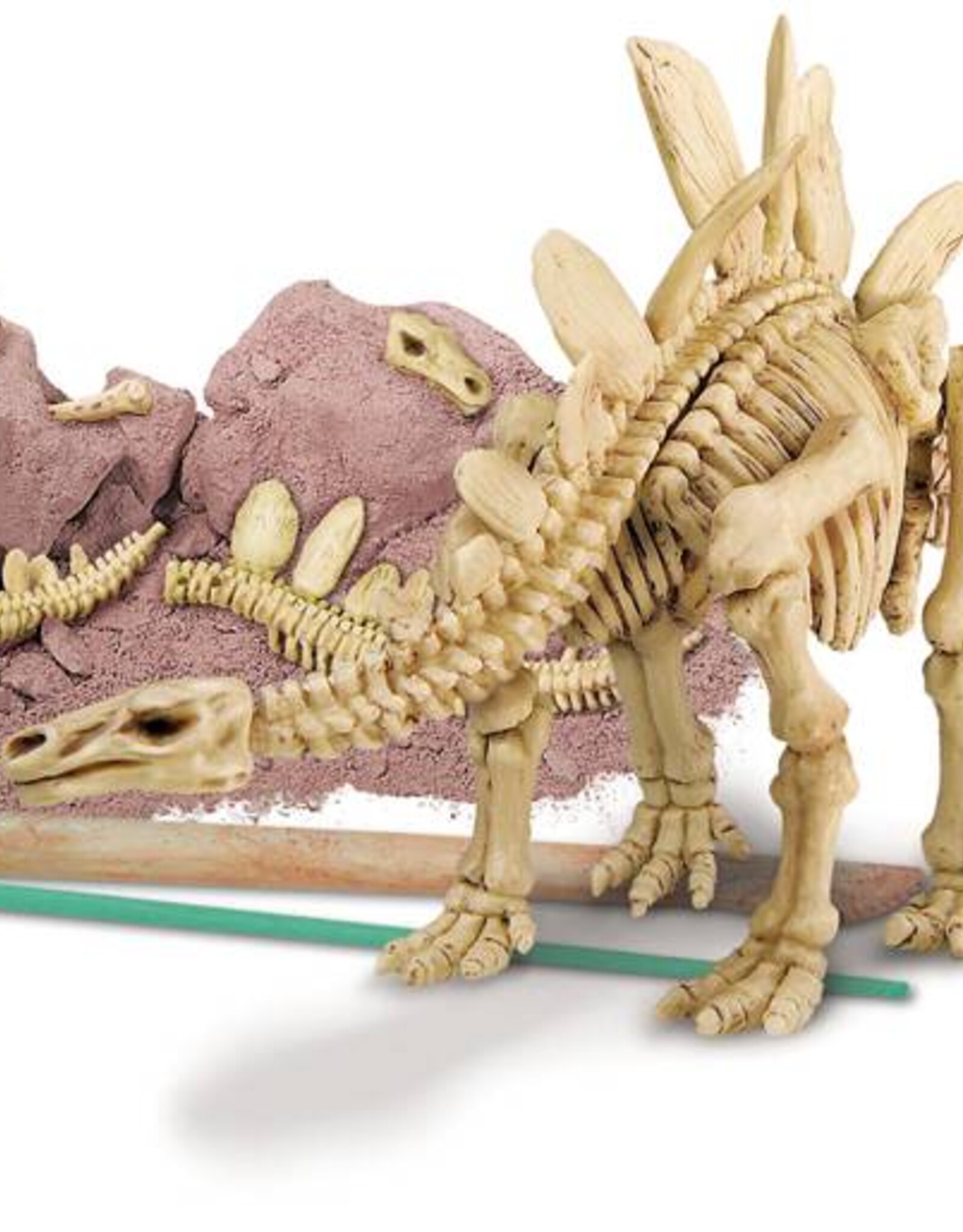 4M Speelgoed Stegosaurus (>7 jr)