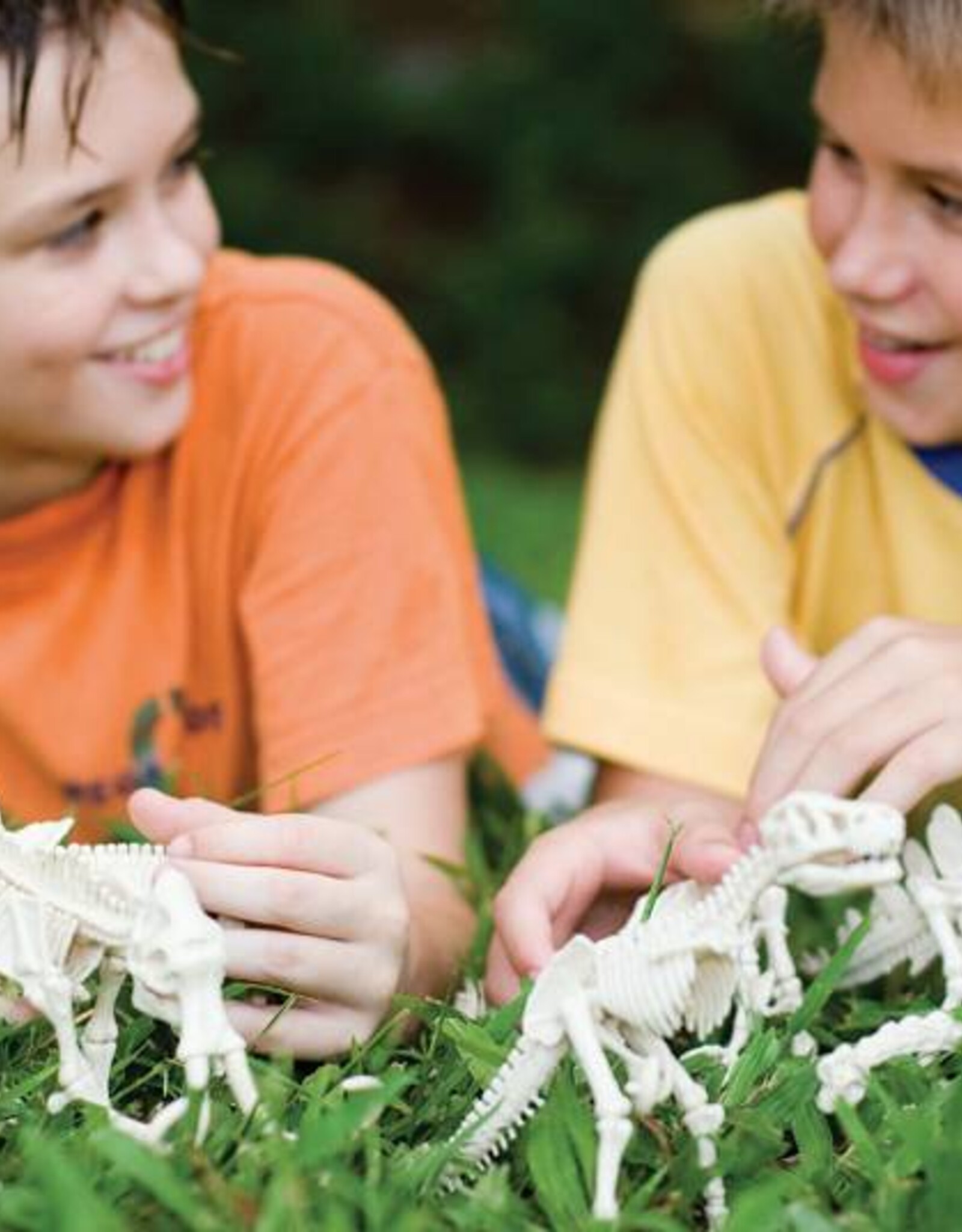 4M Speelgoed Tyrannosaurus rex (vanaf 8 jaar en ouder)