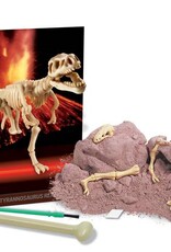 4M Speelgoed Tyrannosaurus rex (vanaf 8 jaar en ouder)