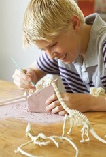 4M Speelgoed Tyrannosaurus rex (vanaf 8 jaar en ouder)