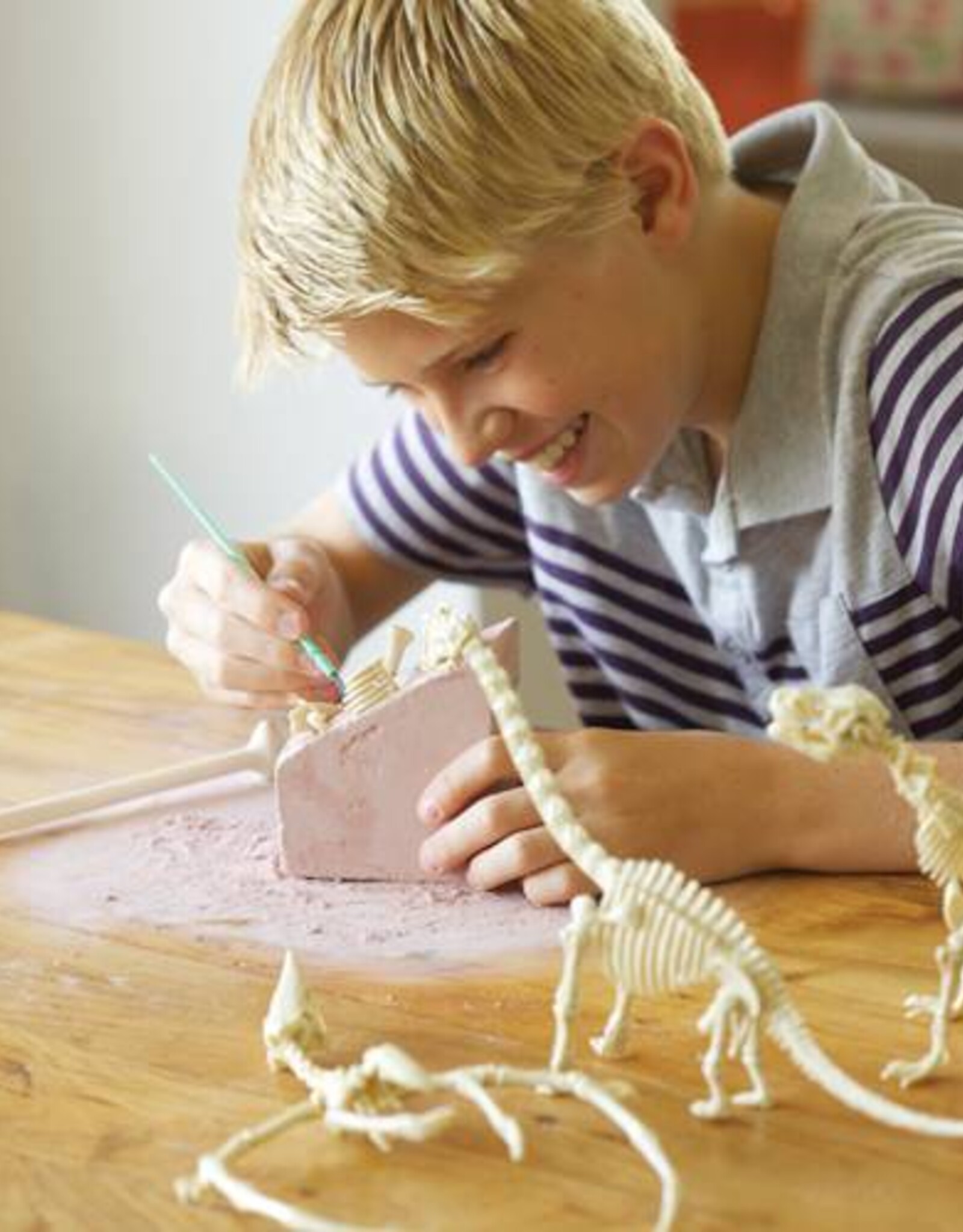 4M Speelgoed Tyrannosaurus rex (vanaf 8 jaar en ouder)