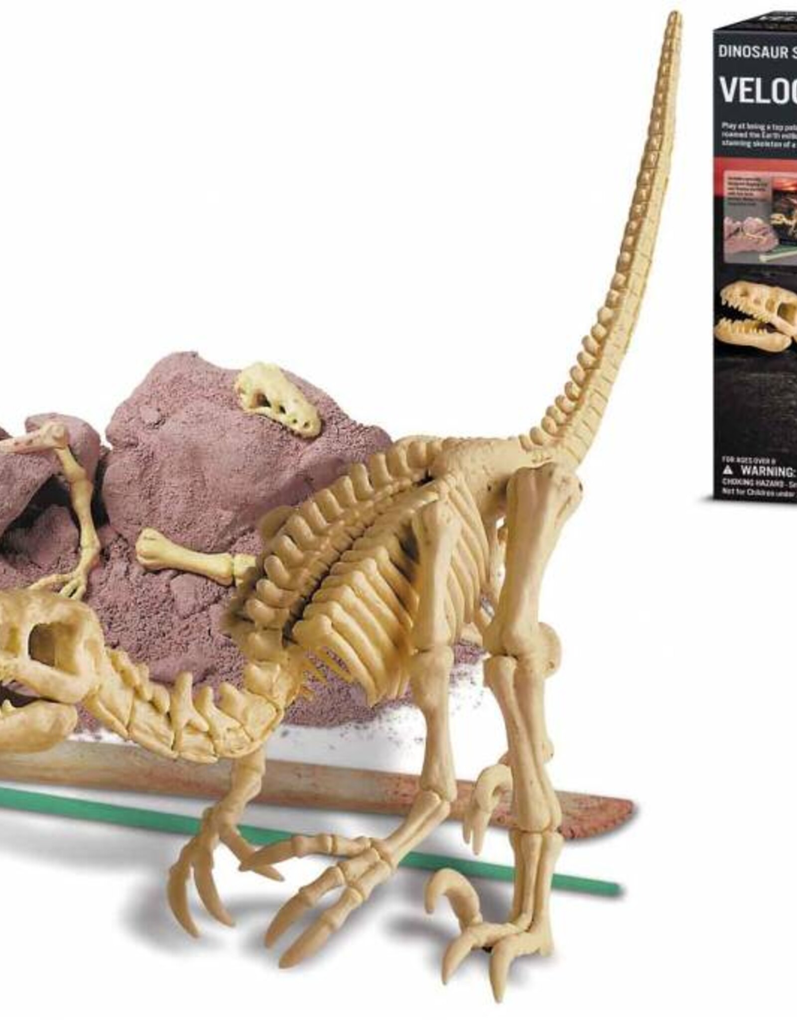 4M Speelgoed Velociraptor (vanaf 7 jaar)