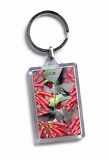 Royce 3D Sleutelhanger Kolibri's