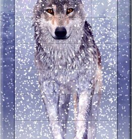 Cheatwell Puzzels 3D Sneeuwwolf
