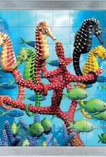 Cheatwell Puzzels 3D Zeepaardjes (van 8-108 jaar)