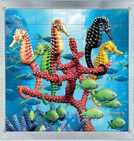 Cheatwell Puzzels 3D Zeepaardjes