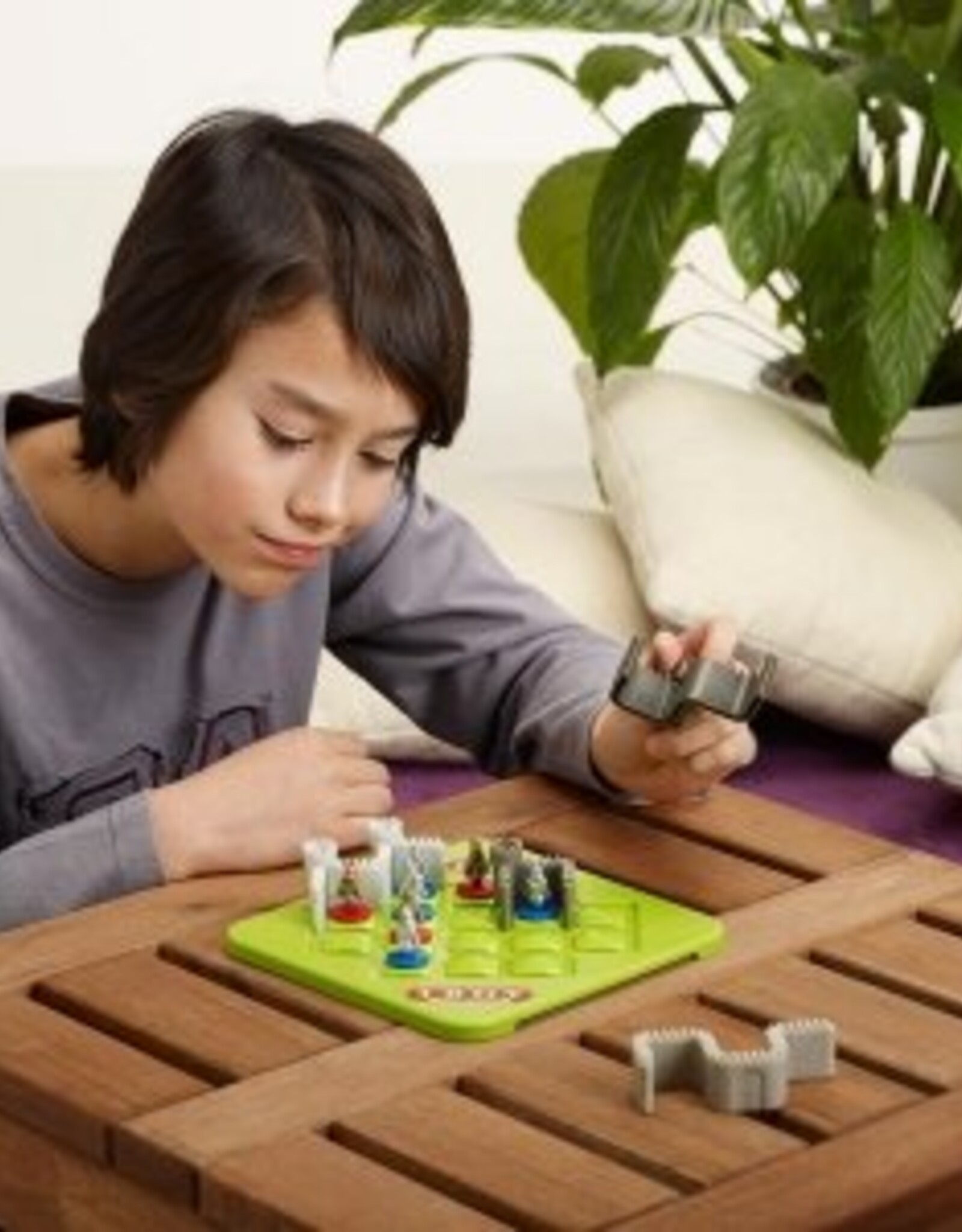 Smartgames Speelgoed Troy (van 7-99)
