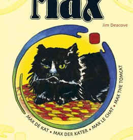 Zonnespel Max de kat
