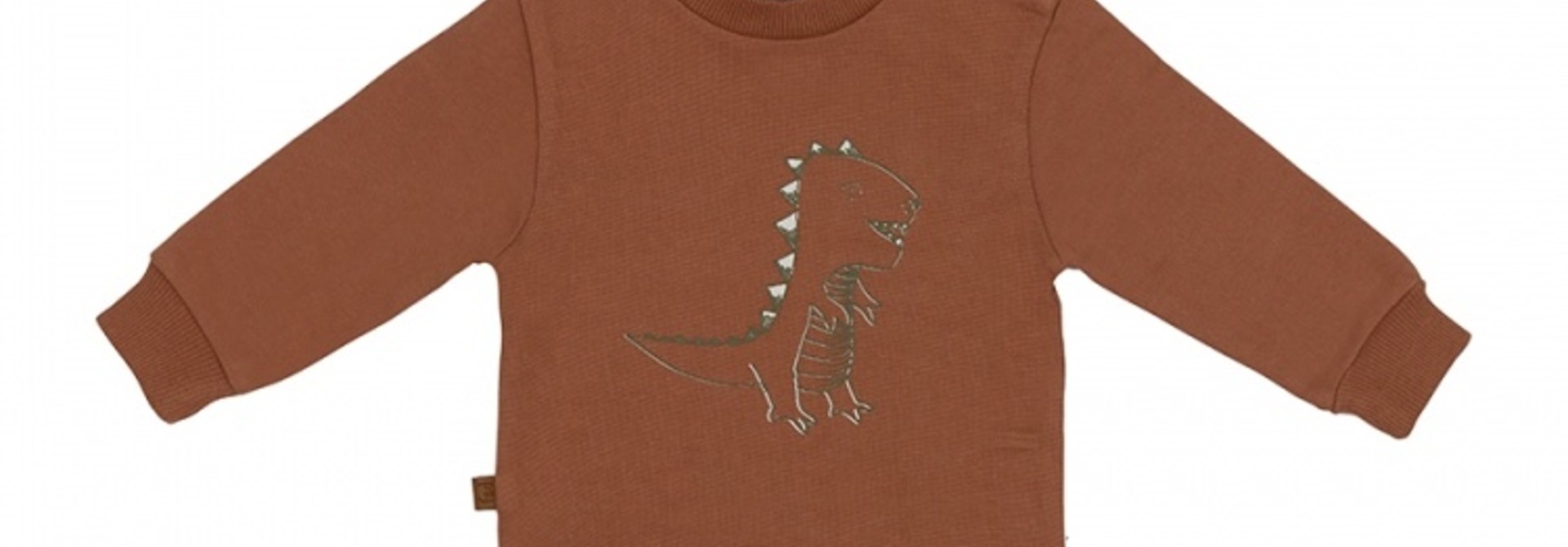 Frogs&Dogs - Dino Park Sweater Dinosaur