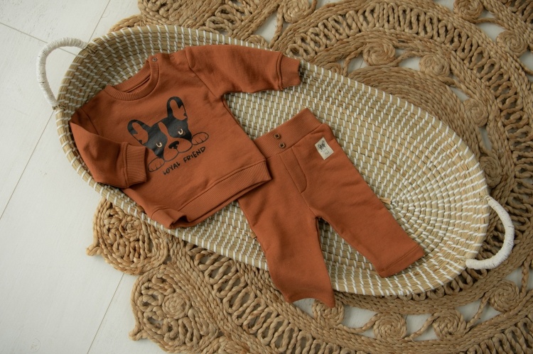Frogs&Dogs - Playtime Sweater Loyal Friend-2