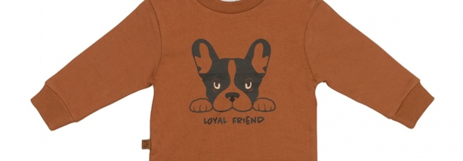 Frogs&Dogs - Playtime Sweater Loyal Friend