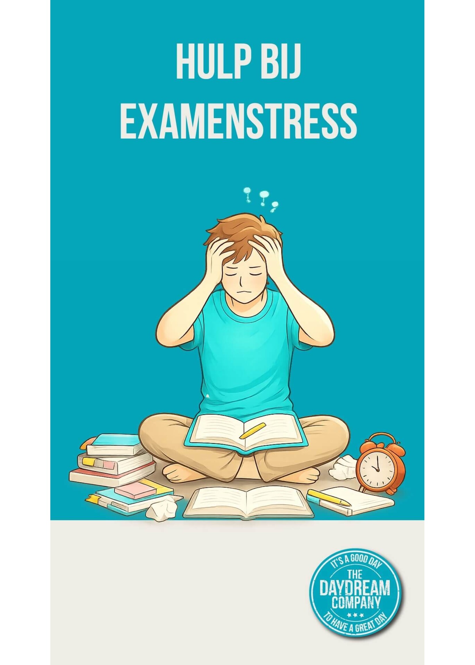 Hulp bij examenstress -begeleide sessie voor rust, focus en zelfvertrouwen tijdens je examen