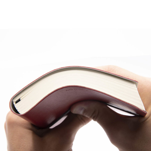 Ciak Classic B6 Rood