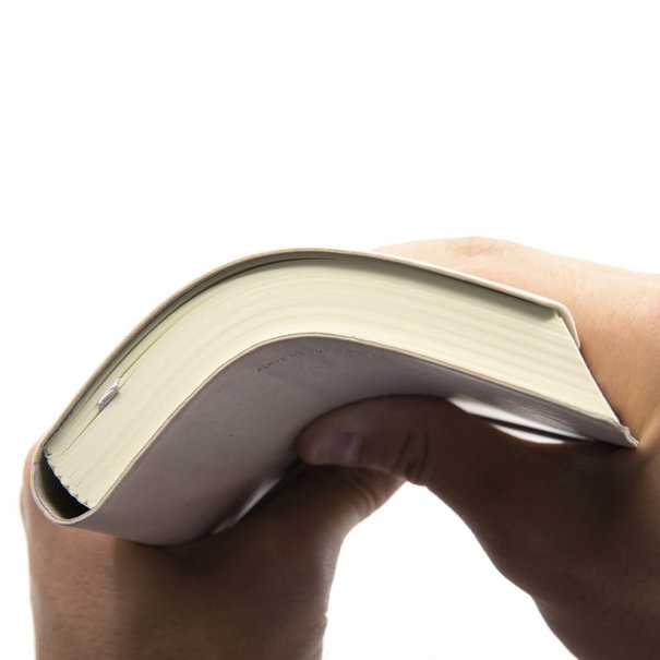 Ciak Classic B6 Romeins Roze