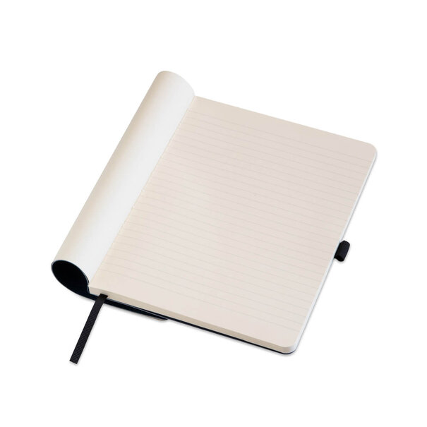 Dingbats Wildlife Blue Whale Softcover A5+